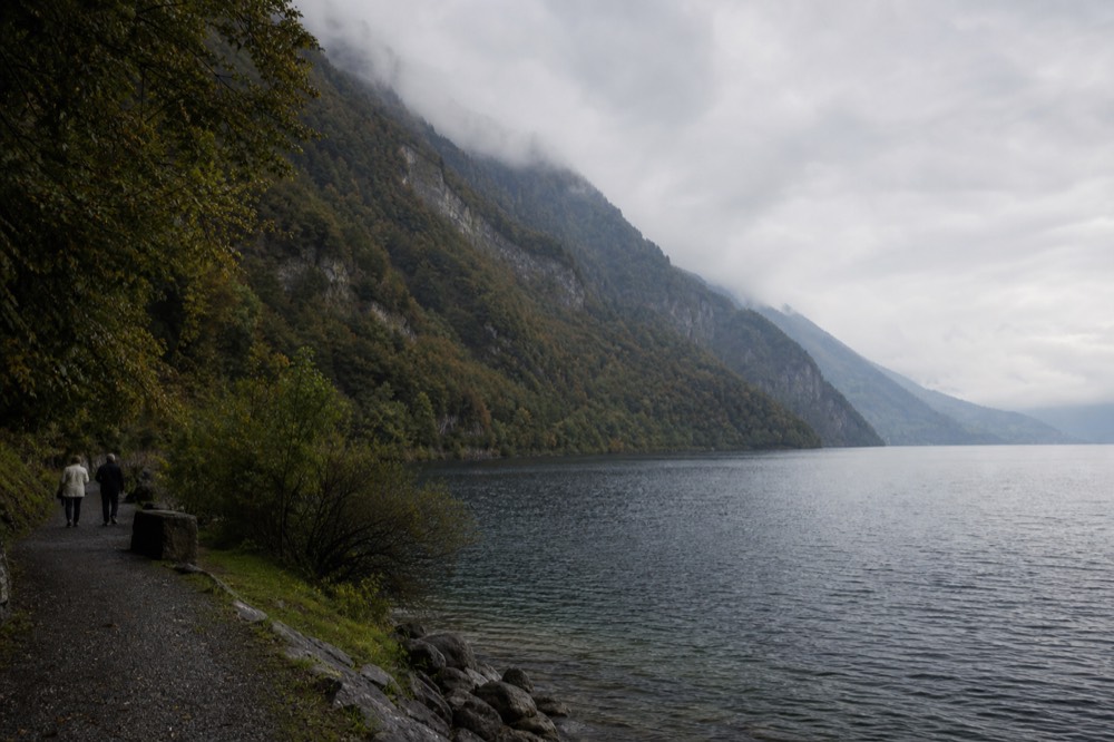 Steep forested slopes falling into the Urnersee arm of Lake Lucerne, no text, no logos, no people