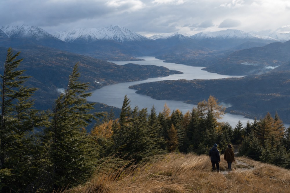 Branching arms of Lake Lucerne seen from above with snow-capped Alps behind, no text, no logos, no people