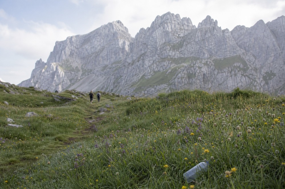 Alpine meadow with wildflowers below rocky Pilatus ridgeline in summer, no text, no logos, no people
