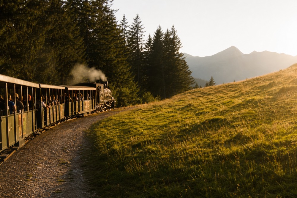 Cogwheel train emerging from forest onto open alpine pasture near Pilatus, no text, no logos, no people